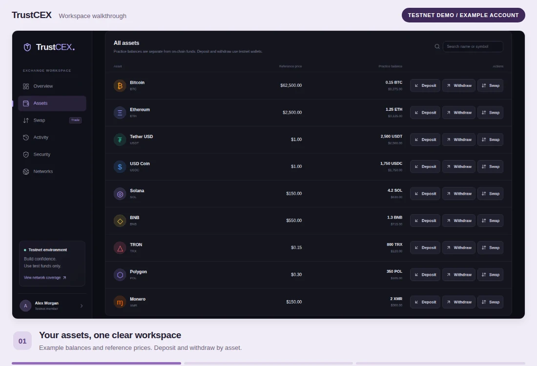 TrustCEX testnet assets overview with an example account